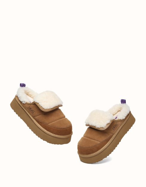 AUSTRALIAN SHEPHERD® Theia Platform